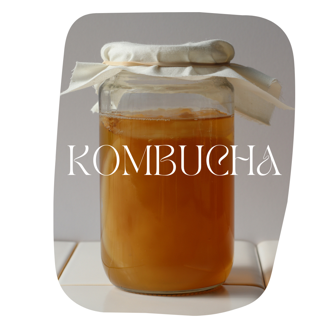 kombucha in jar from kombucha brewing workshop
