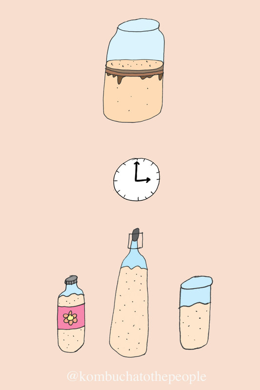 Illustration of mason jar with kombucha and SCOBY on top clock in the middle and three variety of drink ware with ready to drink kombucha