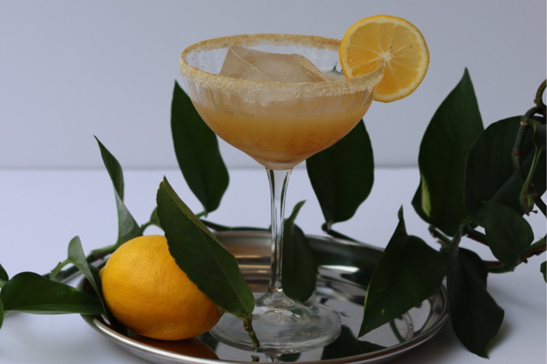 Lemon mocktail with adaptogenic sugar rim in glass with plants in the background 