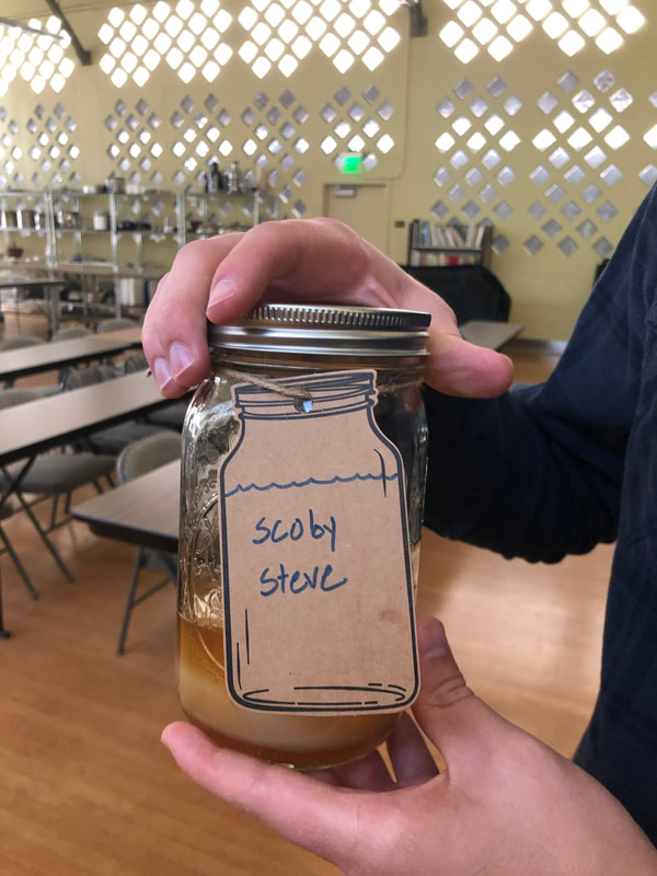 Person holding kombucha scoby in jar