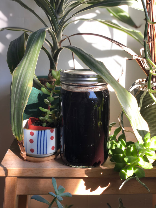 elderberry syrup in a jar among plants