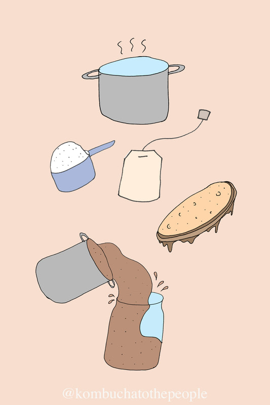 Illustration of all items used in DIY Kombucha kit