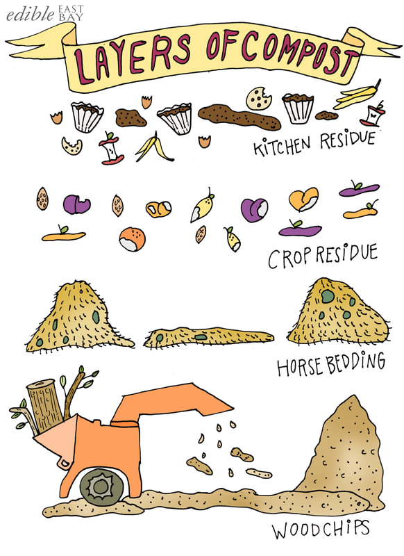 Illustration of the layers of compost 