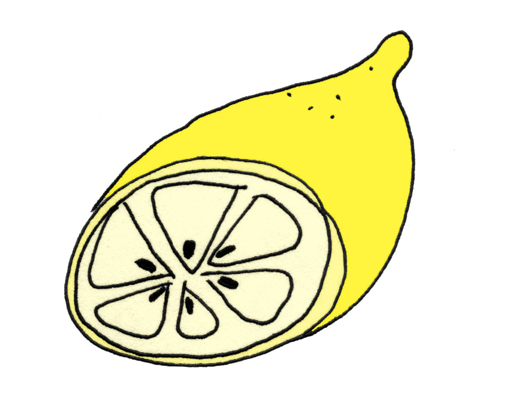 lemon food illustration by Lila Volkas N.C.