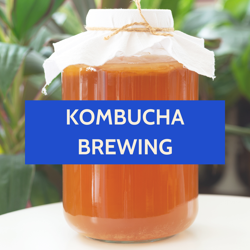 Jar of kombucha with 
