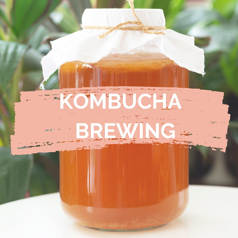 Kombucha jar with words kombucha brewing over top for earth day event