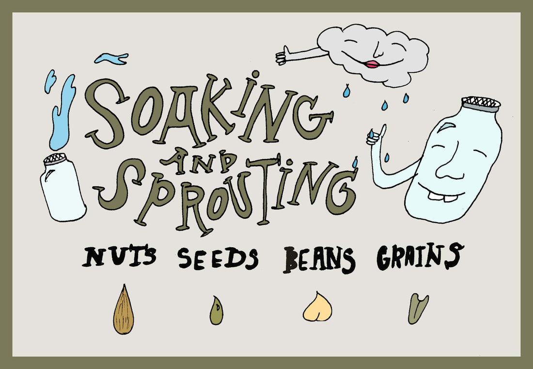 food illustration of soaking and sprouting grains and beans